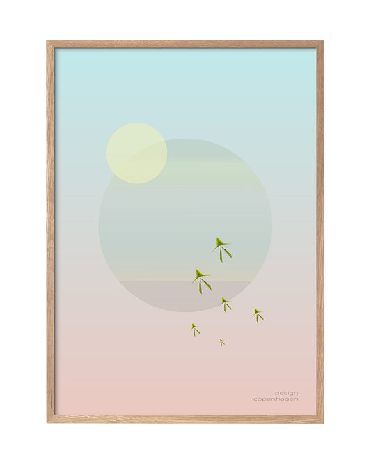 spacebirds